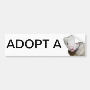 Albino Ferret Picture Bumper Sticker