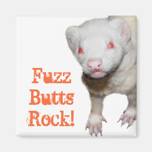 Albino Ferret Picture Magnet (Front)