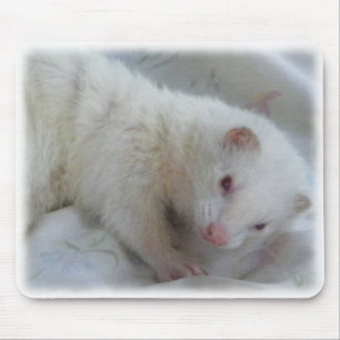 Albino Ferret Picture Mouse Mat