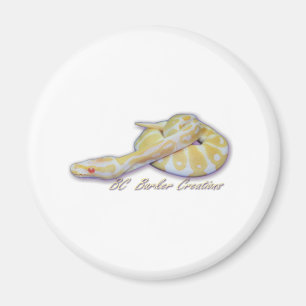 Albino Hatchling Ball Python Magnet