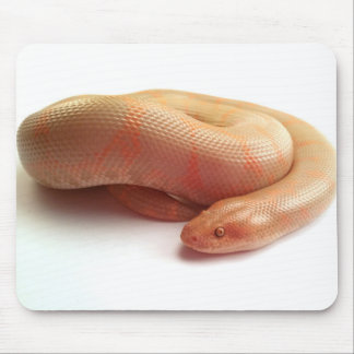 Albino kenyan sand boa mousepad