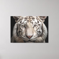 Albino Majesty White Tiger Realism Digital Art
