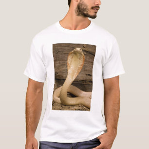 Albino Monacled Cobra, Naja kaouthia, coiled T-Shirt