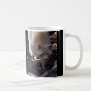 Albino Racoon Mug