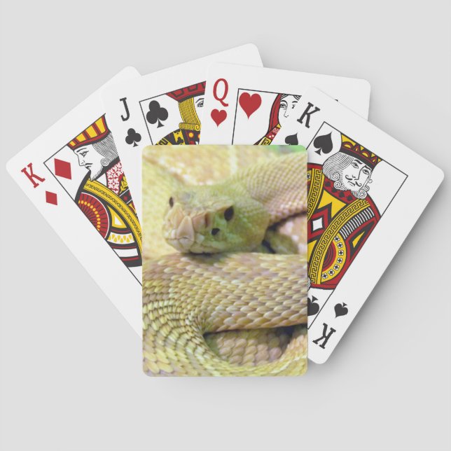 Albino Rattlesnake Playing Cards (Back)