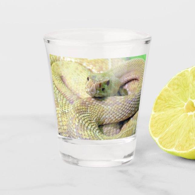 Albino Rattlesnake Shot glass (Front)