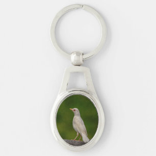 Albino Robin in Crown Point Key Ring