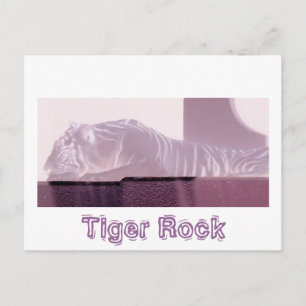 Albino Tiger Postcard
