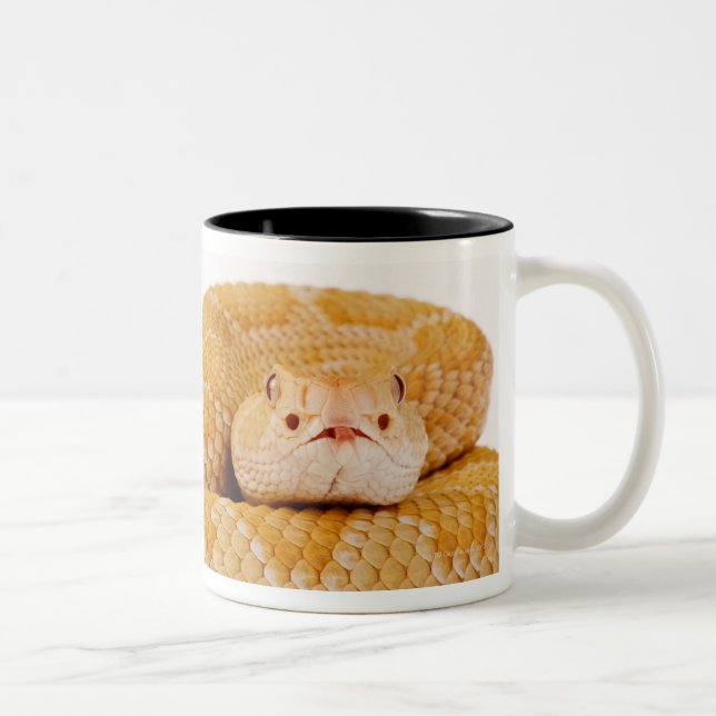 Albino Western diamondback rattlesnake (Crotalus A Two-Tone Coffee Mug (Right)