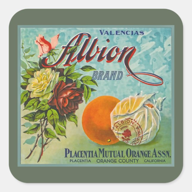Albion Oranges Fruit Crate Label (Front)
