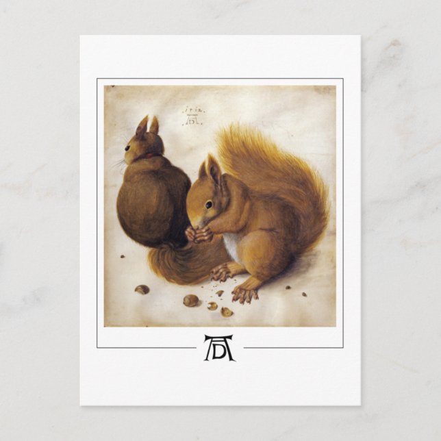 Albrecht Dürer #56 - Fine Art Postcard (Front)