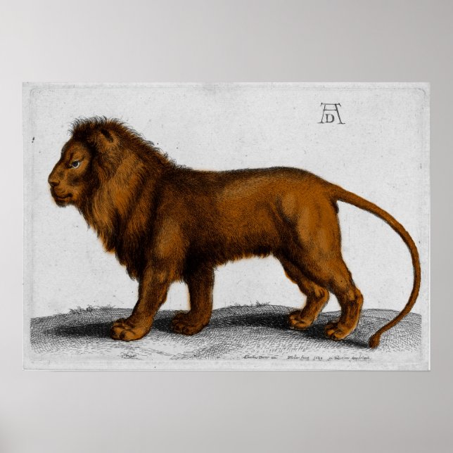 Albrecht Durer Color Engraving Lion Poster (Front)