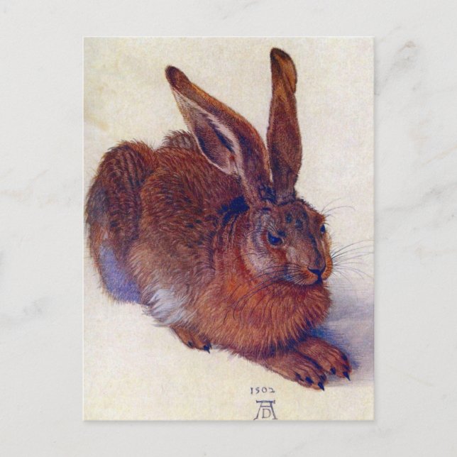 Albrecht Durer - Field Hare GC Postcard (Front)