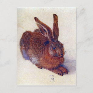 Albrecht Durer - Field hare Postcard