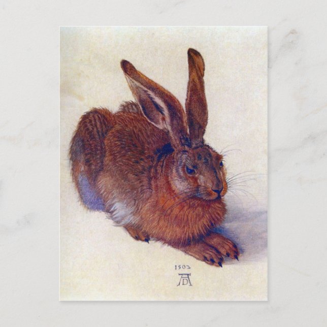 Albrecht Durer - Field hare Postcard (Front)