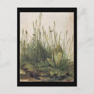 Albrecht Durer Great Piece of Turf Postcard