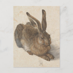 Albrecht Dürer - Hare Postcard