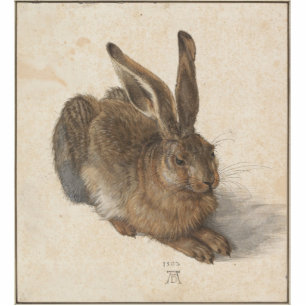 Albrecht Dürer - Hare Standing Photo Sculpture