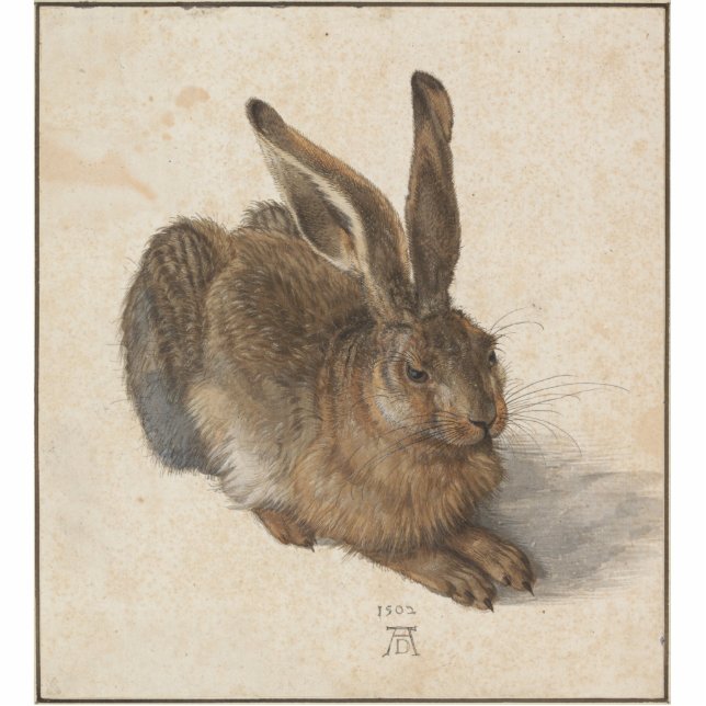 Albrecht Dürer - Hare Standing Photo Sculpture (Front)