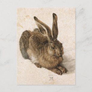 Albrecht Dürer - Junger Hase (Young Hare), 1502 Postcard