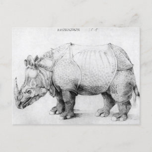 Albrecht Durer Rhinoceros Postcard