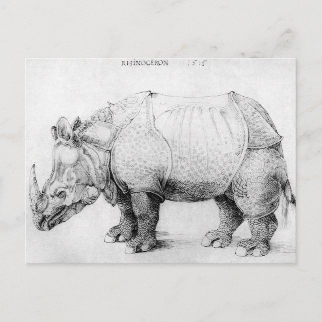 Albrecht Durer Rhinoceros Postcard (Front)
