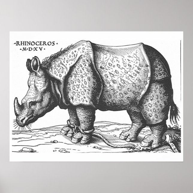 Albrecht Durer - Rhinoceros Poster (Front)