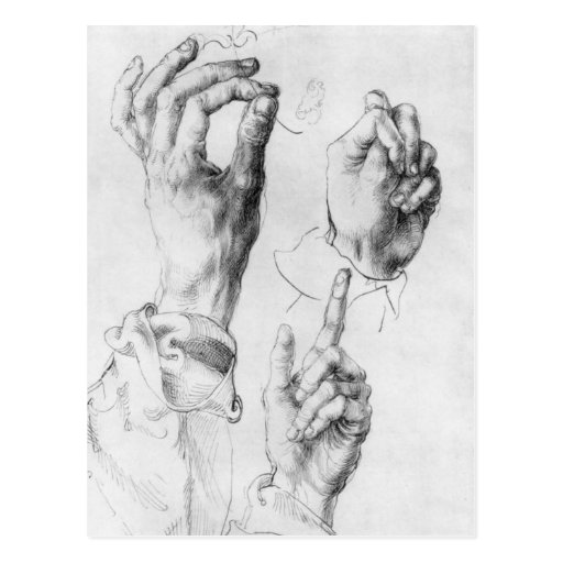 Image of Albrecht Durer Sketch Postcard