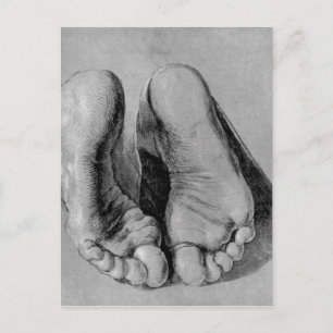 Albrecht Durer Sketch Postcard