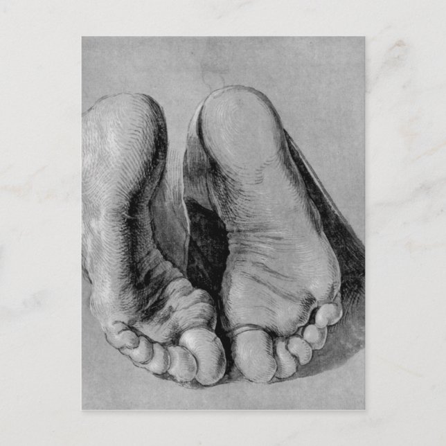 Albrecht Durer Sketch Postcard (Front)