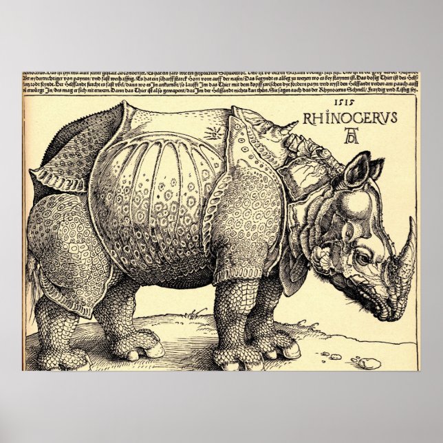 Albrecht Durer Sketching Poster (Front)