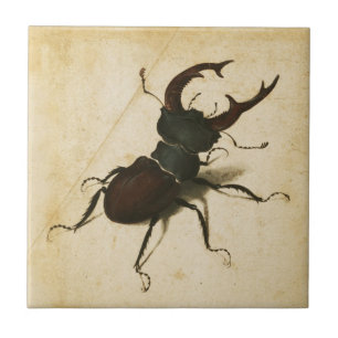 Albrecht Durer Stag Beetle Renaissance Art Drawing Tile