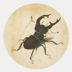 Albrecht Durer Stag Beetle Renaissance Vintage Art Classic Round Sticker
