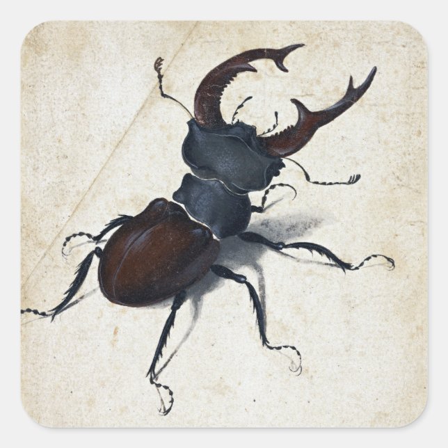 Albrecht Dürer Stag Beetle Square Sticker (Front)