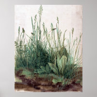 Albrecht Dürer The Large Piece of Turf