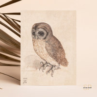 Albrecht Durer The Little Owl Art