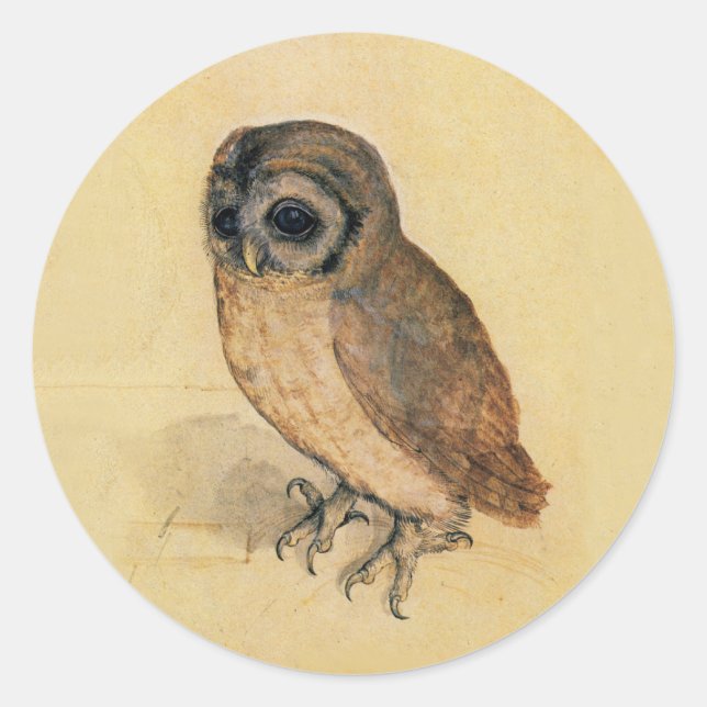 Albrecht Durer The Little Owl Classic Round Sticker (Front)