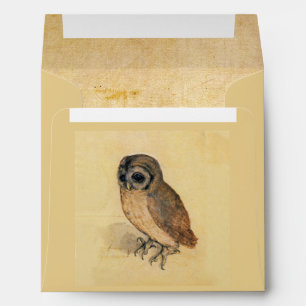 Albrecht Durer The Little Owl Envelope