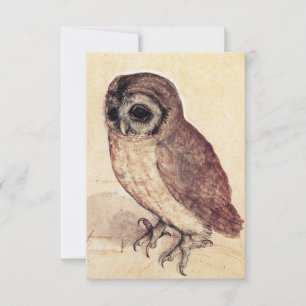 Albrecht Durer The Little Owl Invitations