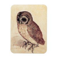 Albrecht Durer The Little Owl Magnet