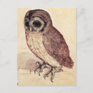 Albrecht Durer The Little Owl Postcard