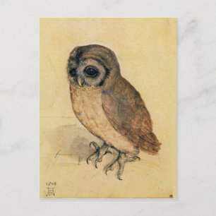 Albrecht Durer The Little Owl Postcard