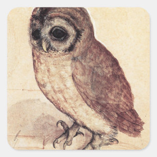 Albrecht Durer The Little Owl Stickers