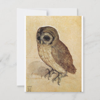 Albrecht Durer - The Little Owl Thank You Card