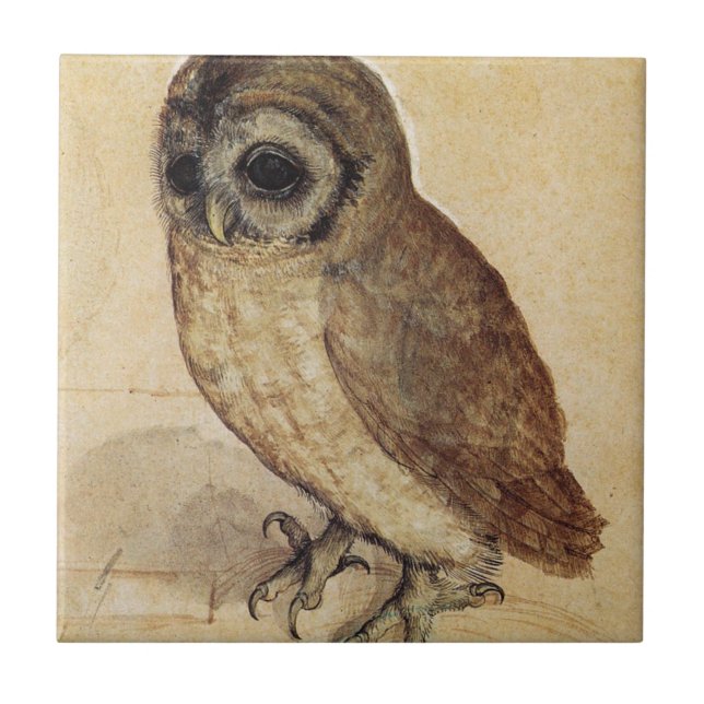 Albrecht Durer - The Little Owl Tile (Front)