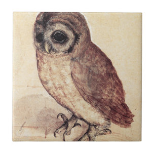 Albrecht Durer The Little Owl Tile