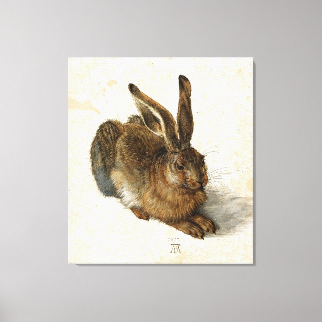 ALBRECHT DÜRER - Young hare 1502 Canvas Print (Front)