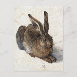 Albrecht Dürer, Young Hare, 1502 Postcard
