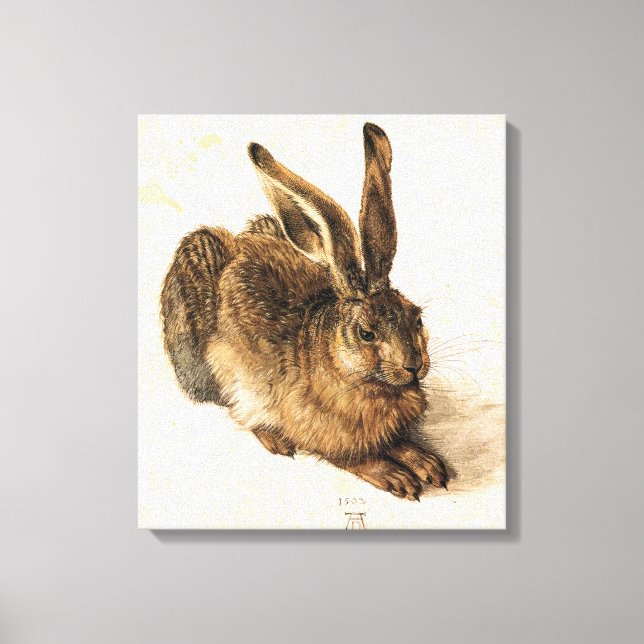 Albrecht Durer Young Hare Canvas Print (Front)