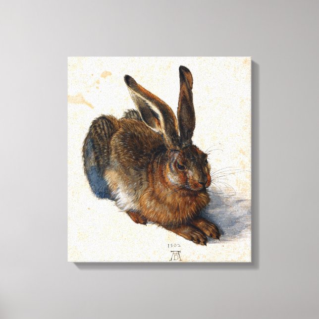 Albrecht Durer Young Hare Canvas Print (Front)